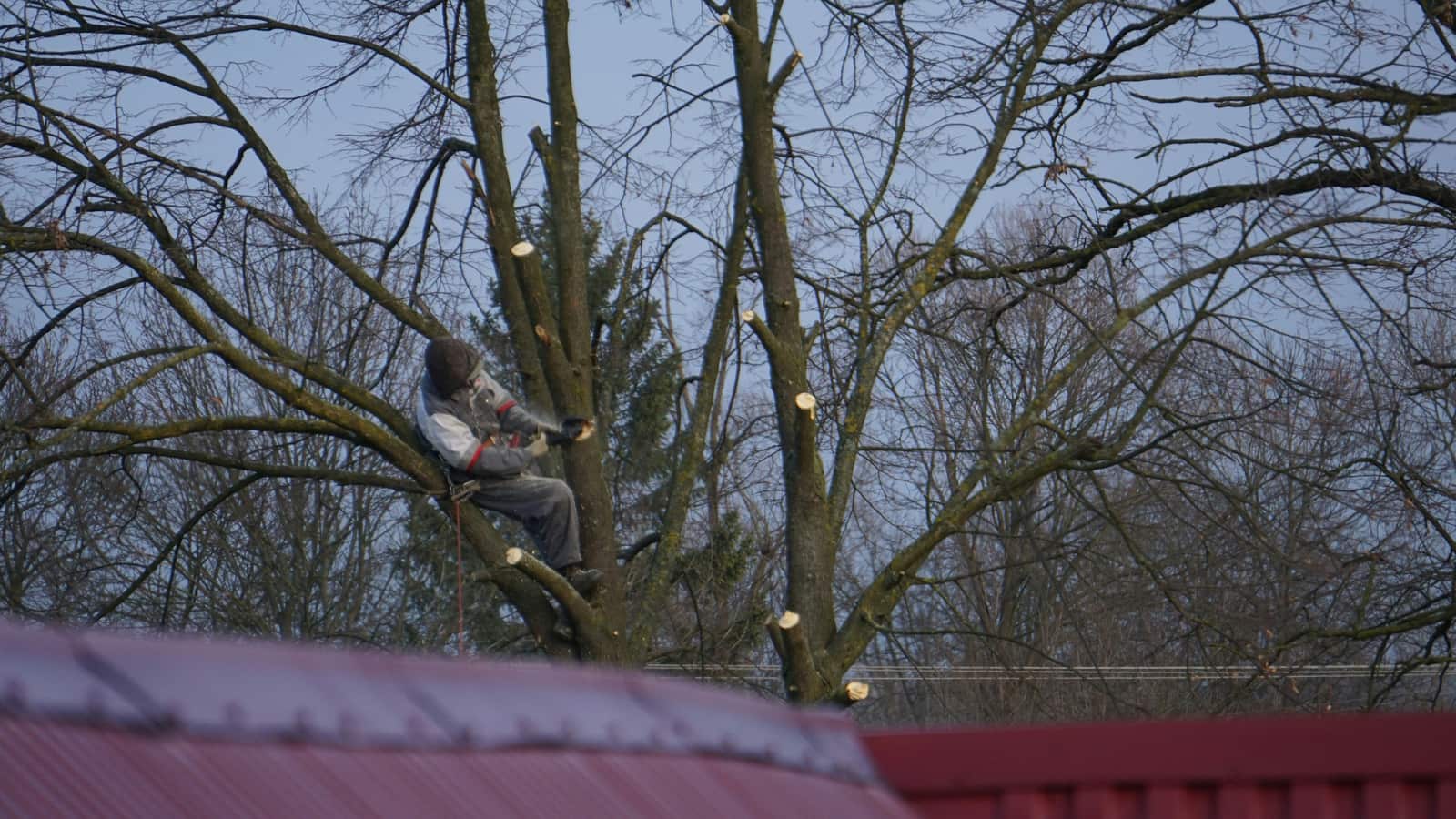 JOE'S TREE SERVICE.